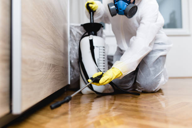 Best Mosquito Control Services  in Resaca, GA