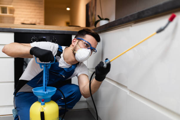 Best Ant Control Services  in Resaca, GA