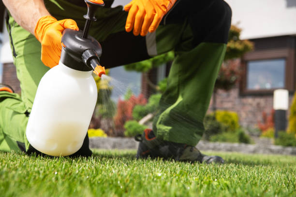 Best Pest Inspection Near Me  in Resaca, GA