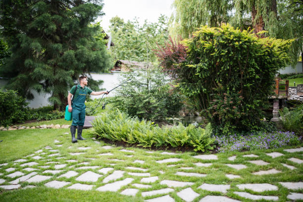 Best Best Pest Control Companies  in Resaca, GA
