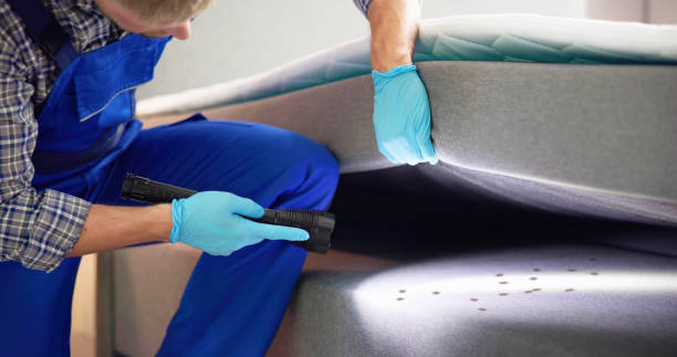 Best Pest Control Cost  in Resaca, GA