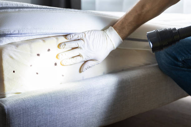 Best Pest Control Near Me  in Resaca, GA