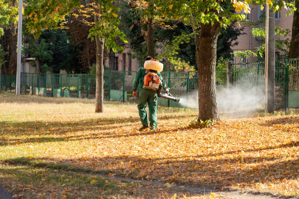 Best Best Pest Control Companies  in Resaca, GA